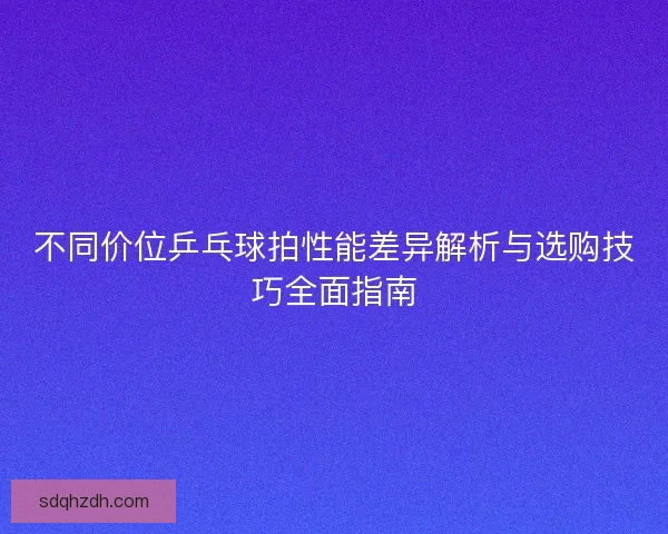 不同价位乒乓球拍性能差异解析与选购技巧全面指南